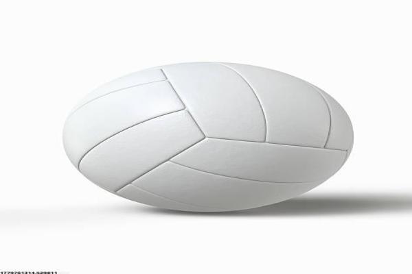 体育项目可行性报告撰写格式与要点
